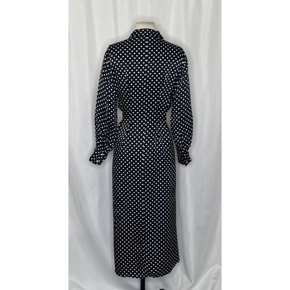 EVERLANE The Hammered Satin Shirt Dress Black Polka Dot Shirtdress Preppy Size 0 - Picture 9 of 15